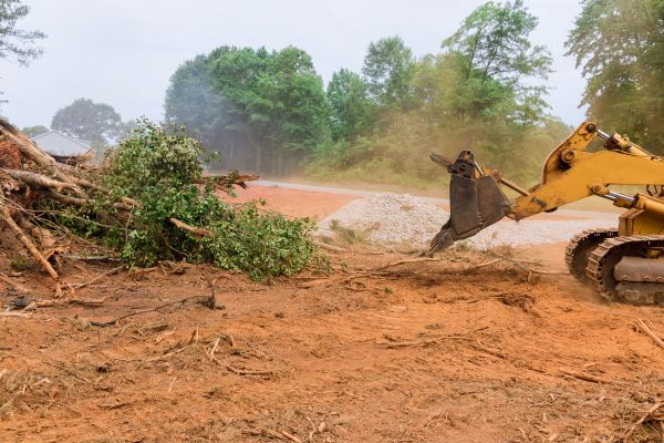 Ground Clearing in Simi Valley