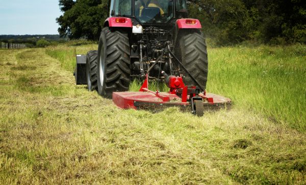 Brush Clearing Service in Simi Valley