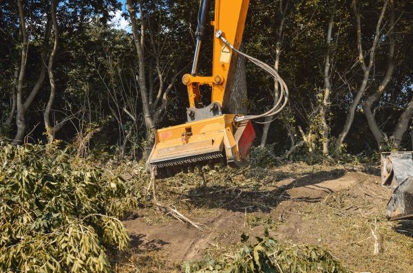 Brush Removal Service in Simi Valley