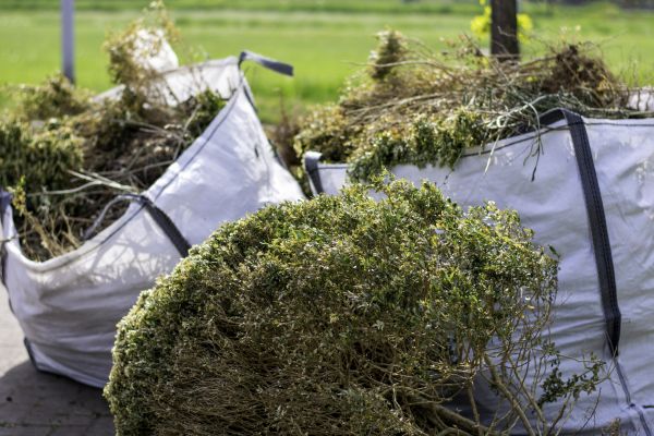 Cost of Bushes Clearing in Simi Valley