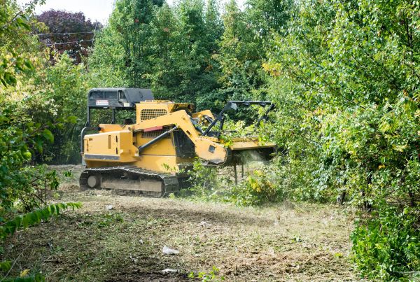 Cost of Pathway Clearing in Simi Valley