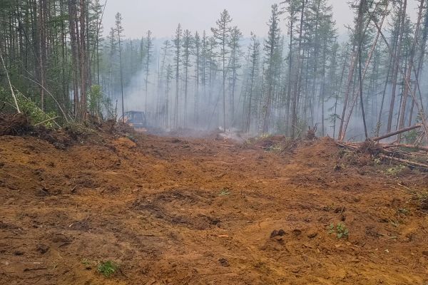 Cost of Hill Clearing in Simi Valley
