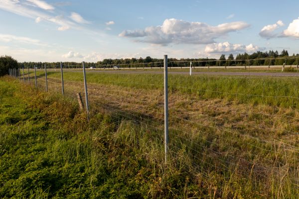 Cost of Property Line Clearing in Simi Valley