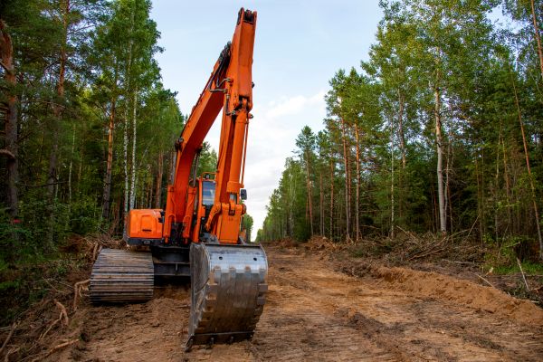 Cost of Backhoe Land Clearing in Simi Valley
