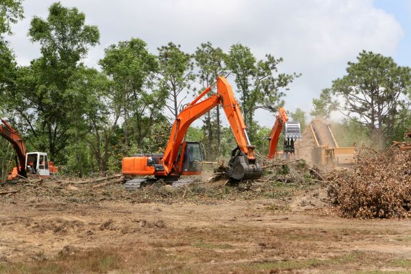 Cost of Commercial Lot Clearing in Simi Valley