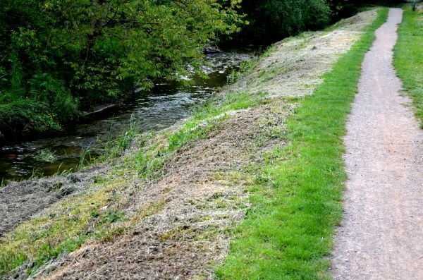 Cost of Trail Cutting in Simi Valley